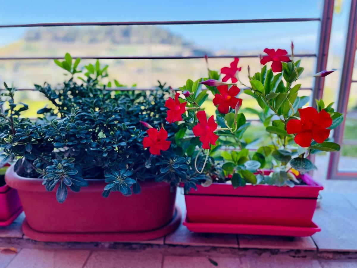 Casa Rafanelli Apartment Monforte dʼAlba Екстериор снимка